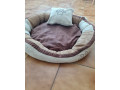 pelech-pre-psika-small-2