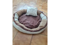 pelech-pre-psika-small-1