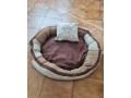 pelech-pre-psika-small-0