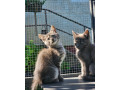 mainska-myvalia-bez-pp-small-1
