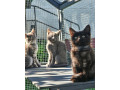 mainska-myvalia-bez-pp-small-0