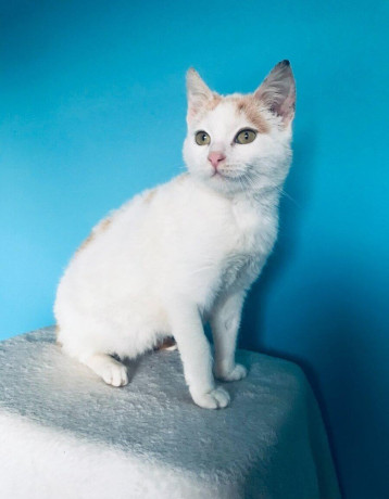 meggie-si-hlada-domov-vo-vnutri-big-0