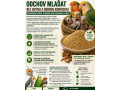 odchov-mladat-bez-uhynu-a-dobrou-kondiciou-small-0