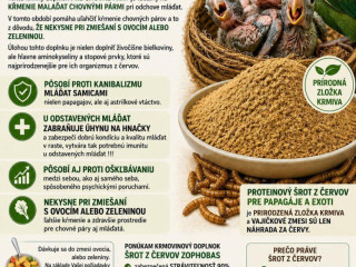 odchov-mladat-bez-uhynu-a-dobrou-kondiciou