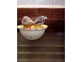 predam-zebricky-small-1