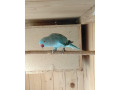 alexander-maly-small-1