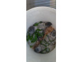 pap-senegalsky-small-1