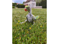 alexander-maly-na-rucne-dokrmenie-small-4