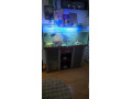 predam-akvarium-aj-s-filtraciou-small-0