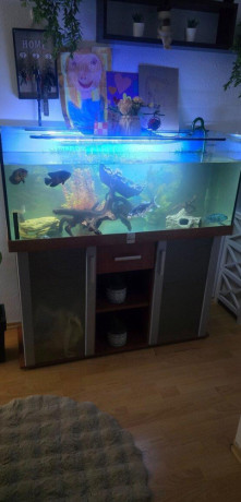 predam-akvarium-aj-s-filtraciou-big-0