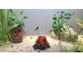 predam-25l-akvarium-aquael-small-1