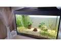 predam-25l-akvarium-aquael-small-0