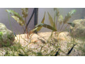 predam-25l-akvarium-aquael-small-2