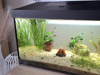 predam-25l-akvarium-aquael