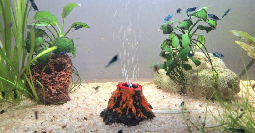 predam-25l-akvarium-aquael-big-1