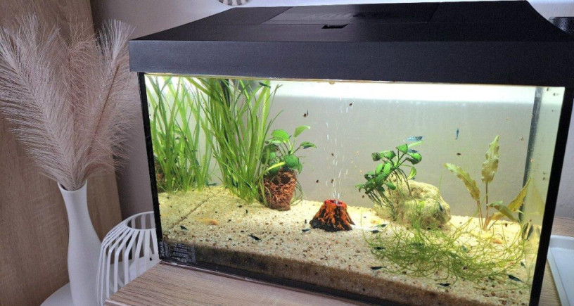 predam-25l-akvarium-aquael-big-0