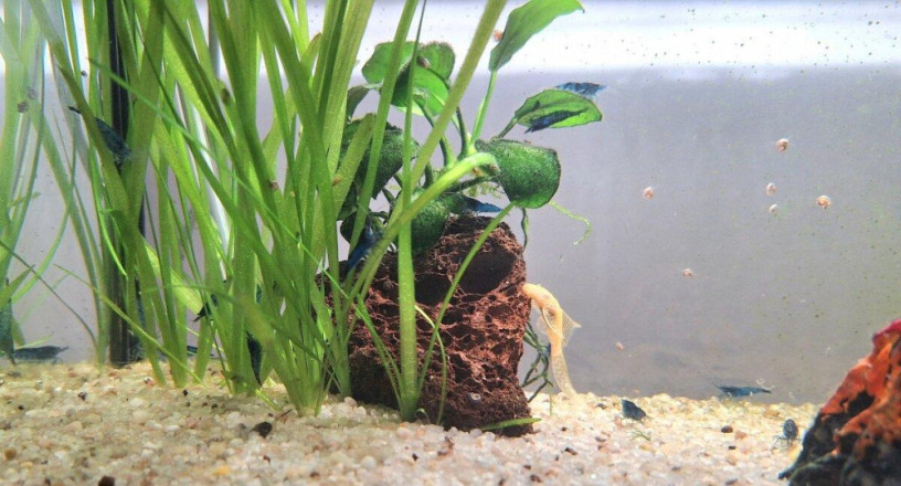 predam-25l-akvarium-aquael-big-3