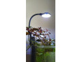 led-svetlo-pre-male-akvarium-small-0