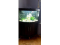 akvarium-juwel-140-litrov-small-0