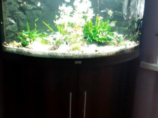 akvarium-juwel-140-litrov