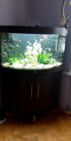 akvarium-juwel-140-litrov-big-0