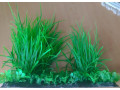 dekoracia-do-akvaria-small-0