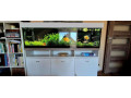 predam-400l-akvarium-180cm-komplet-eheim-filter-co2-small-0