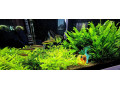 predam-400l-akvarium-180cm-komplet-eheim-filter-co2-small-2