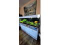 predam-400l-akvarium-180cm-komplet-eheim-filter-co2-small-1