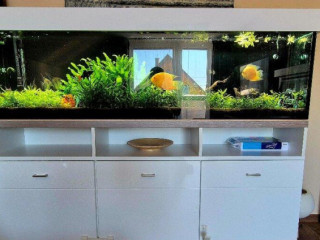 predam-400l-akvarium-180cm-komplet-eheim-filter-co2