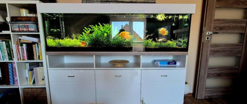 predam-400l-akvarium-180cm-komplet-eheim-filter-co2-big-0