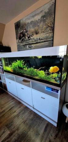predam-400l-akvarium-180cm-komplet-eheim-filter-co2-big-1