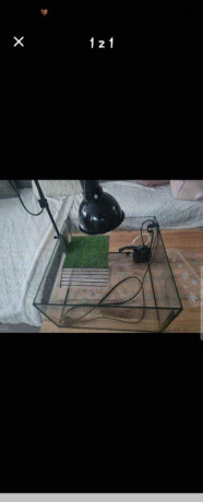akvarium-big-0