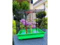 klietka-pre-drobne-cicavce-small-4