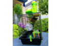 klietka-pre-hlodavce-small-2