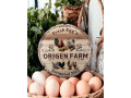 forverka-small-4