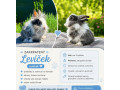 zakrsly-levik-small-0