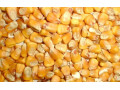 predam-psenicu-small-0