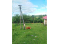 jalovica-limuzin-limusinlimousine-small-1