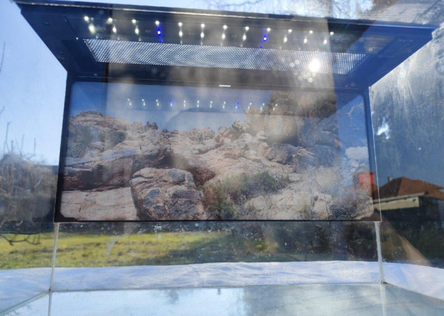 terarium-exo-terra-habisphere-big-4