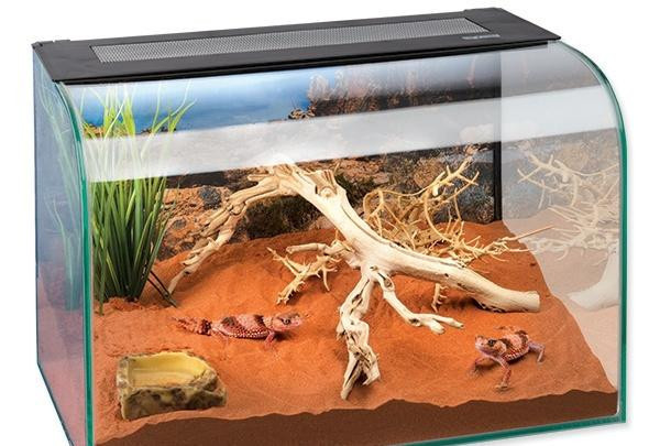 terarium-exo-terra-habisphere-big-1