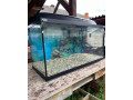 predam-akvarium-small-0