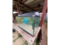 predam-akvarium-small-1