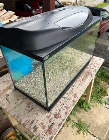predam-akvarium-big-3