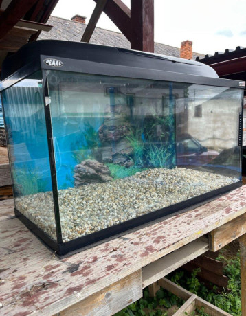 predam-akvarium-big-0