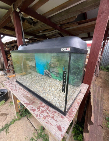 predam-akvarium-big-1