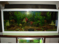 akvarium-v-rame-small-2