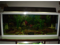 akvarium-v-rame-small-1