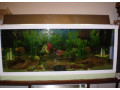 akvarium-v-rame-small-0