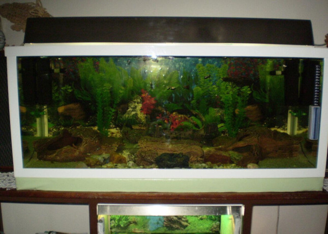 akvarium-v-rame-big-2